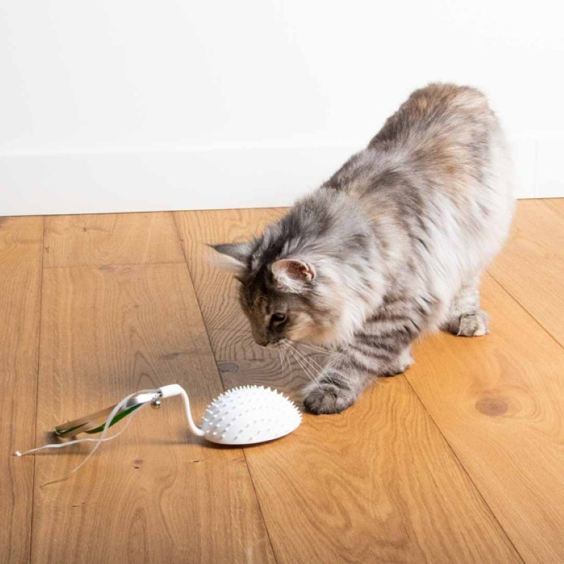 EBI Elektrische Spielmaus für Katzen mit USB und Bewegung