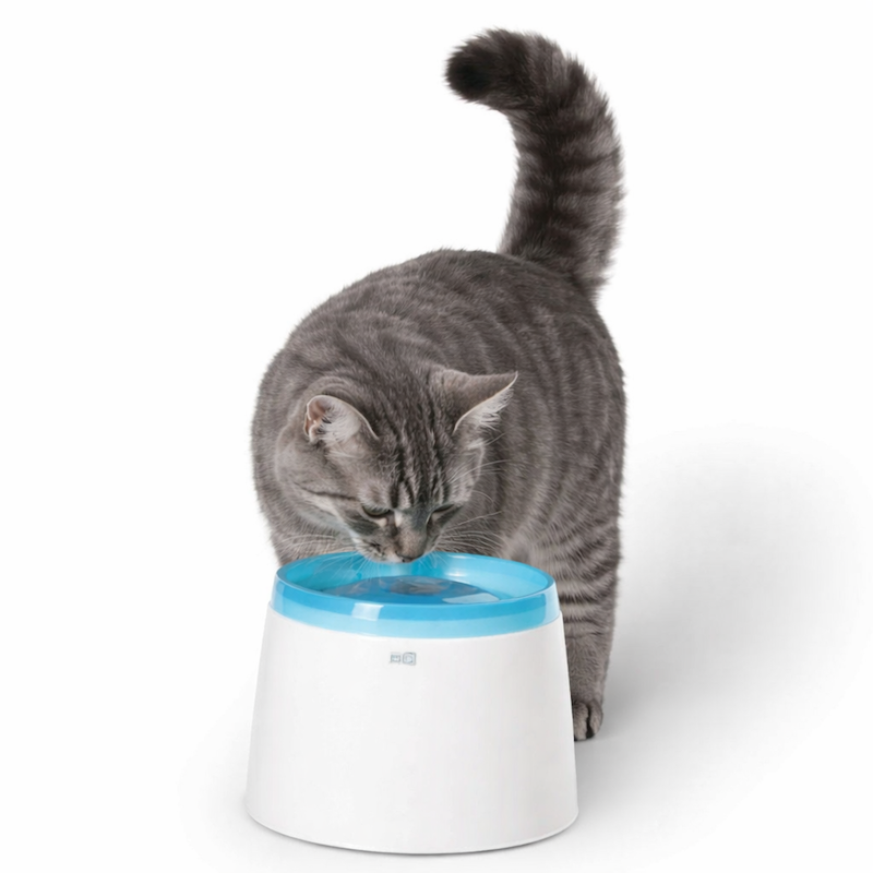 Catit Fresh Clear Trinkbrunnen 2 Liter Blau