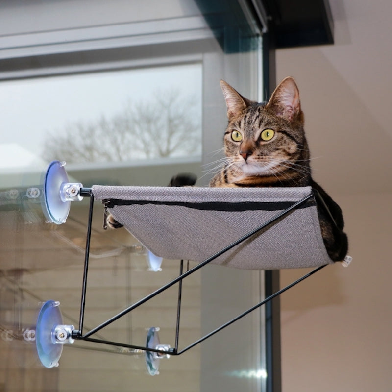 D&D Fenster Hängematte Olivia Katzenliege Fenster