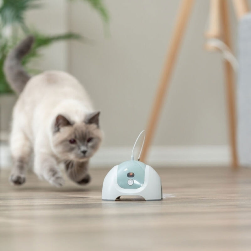 Trixie Elektrisches Katzenspielzeug mit Fernbedienung und Feder
