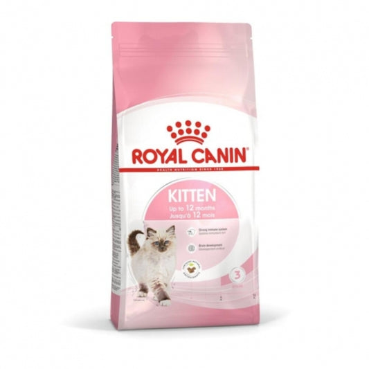 Royal Canin Feline Kitten 36