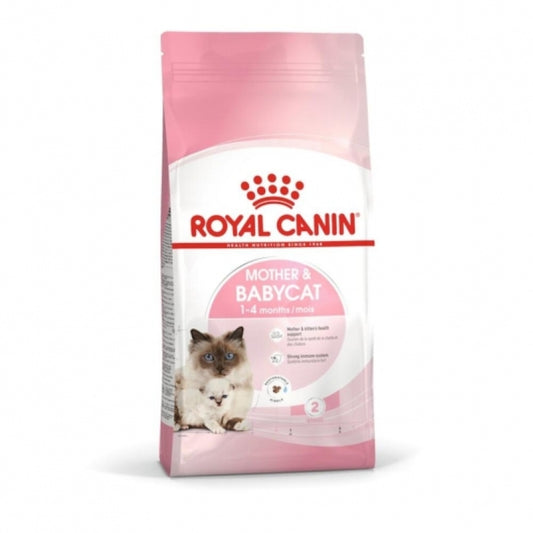 Royal Canin Babycat 34 Trockenfutter für Katzenwelpen 1–4 Monate